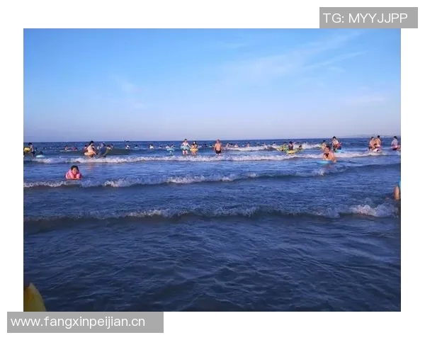 畅享夏日清凉泳池乐园,带你体验无与伦比的水上派对与休闲时光